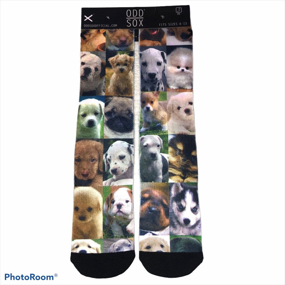 ODD SOX NWT Dogs puppies animal lover men’s socks